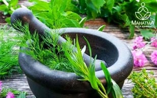 Ayurveda Retreat
